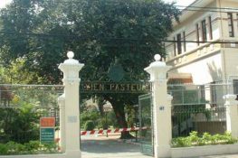 Lí giải thắc mắc: Bệnh viện Pasteur có làm việc chủ nhật không?