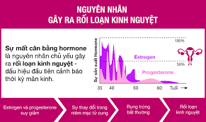 Nguyên nhân gây rối loạn kinh nguyệt