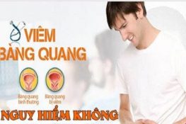 [ Giải đáp thắc mắc ] :Viêm bàng quang có nguy hiểm không