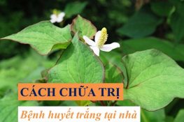 Top 5 cách trị huyết trắng tại nhà đơn giản , hiệu quả 99% !