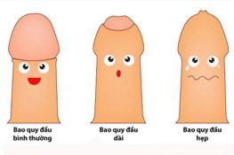 [ Bao quy đầu bình thường là như thế nào ? ] Hình ảnh minh họa