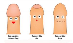 Bao quy đầu bình thường