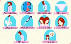 Dấu hiệu có thai tuần đầu
