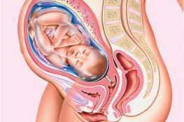 Thai 28 tuần : Là mấy tháng , nên ăn gì , chỉ số thai và lưu ý !