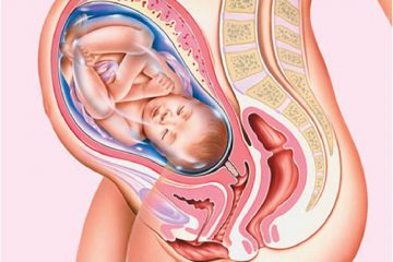 Thai 28 tuần : Là mấy tháng , nên ăn gì , chỉ số thai và lưu ý !
