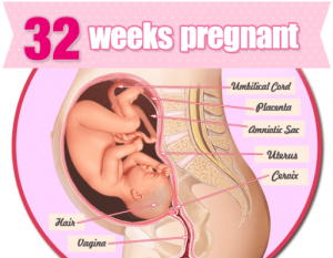 Thai 32 tuần