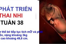 Thai 38 tuần : Mổ được chưa , dấu hiệu chuyển dạ , lưu ý !