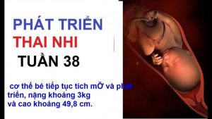 Thai 38 tuần