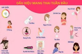 [ Bật mí ] : 23 Dấu hiệu có bầu ( mang thai ) dễ nhận biết nhất !