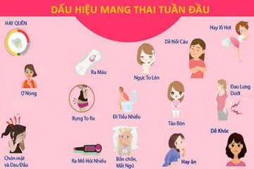 [ Bật mí ] : 23 Dấu hiệu có bầu ( mang thai ) dễ nhận biết nhất !