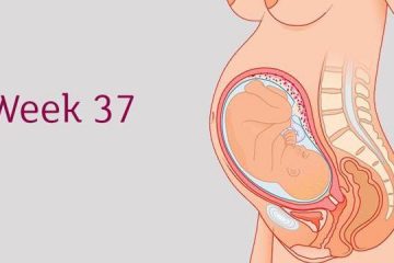 [ Thai 37 tuần ] : Là mấy tháng , chỉ số thai , bảng cân nặng