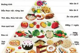 [ Thực đơn cho bà bầu ] : 3 tháng đầu , giữa , cuối , 1 tuần !