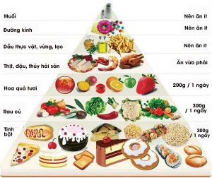 thực đơn cho bà bầu