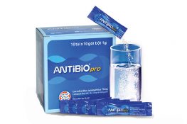 Men tiêu hóa Antibio : Hướng dẫn sử dụng , tác dụng và lưu ý