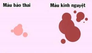 Máu báo thai là gì