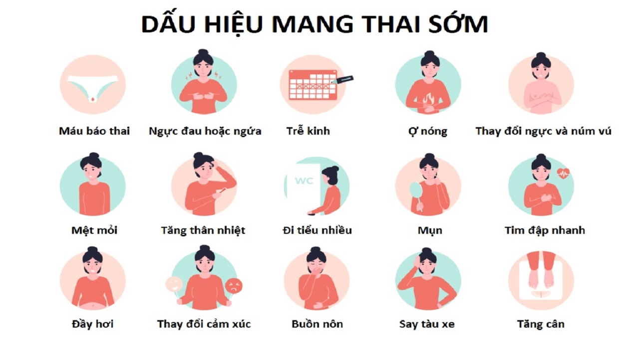 dau_hieu_mang_thai