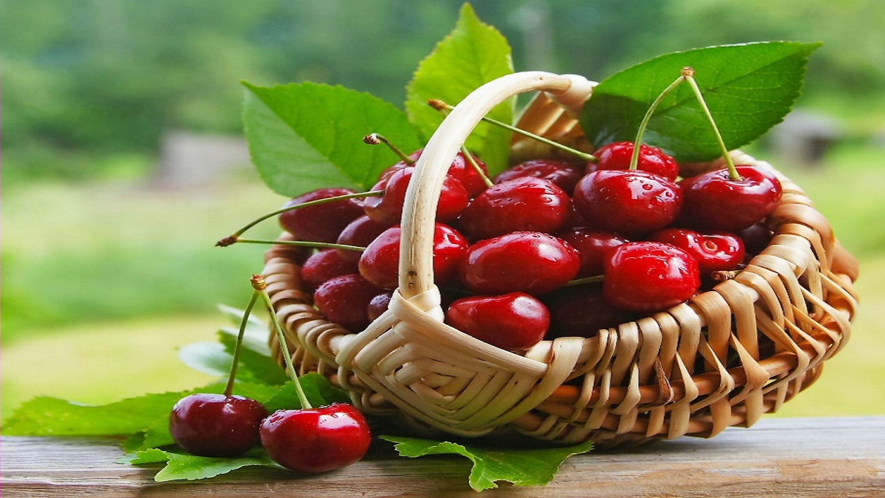qua-cherry-co-phai-qua-anh-dao