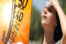 Chuyện Gì Sẽ xảy ra nếu Cơ Thể Chịu Nhiệt Quá Nóng?