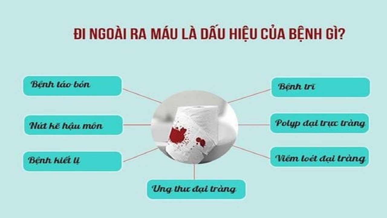 Đi Ngoài Ra Máu Tươi