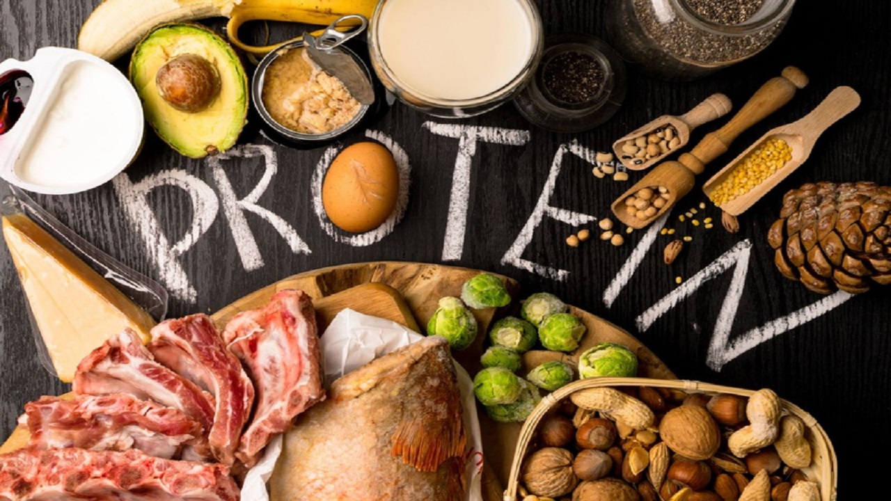 protein