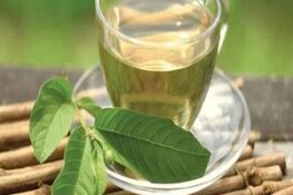 Tác Dụng Bất Ngờ Của Nước Lá Ổi Và Cách Sử Dụng Hiệu Quả