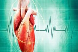 Nhịp Tim Chuẩn Là Bao Nhiêu? Bí Quyết Đọc Hiểu Sức Khỏe Qua Tim