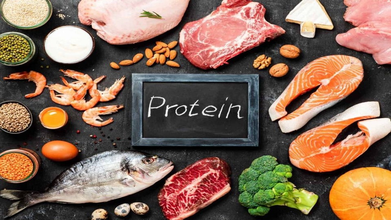 protein