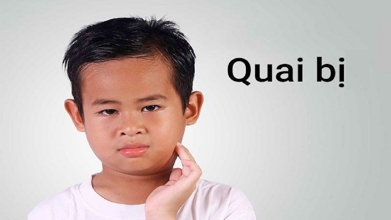 quai bị là gì