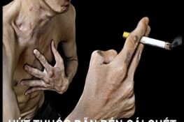 10 Tác Hại Khôn Lường Của Thuốc Lá Đối Với Sức Khỏe Bạn Cần Biết