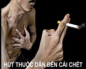 10 Tác Hại Khôn Lường Của Thuốc Lá Đối Với Sức Khỏe Bạn Cần Biết