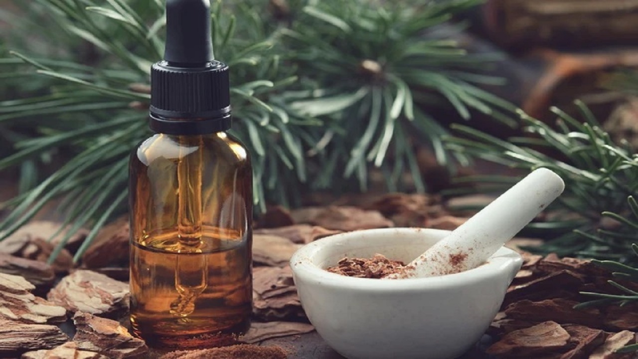 tinh dầu thông đỏ