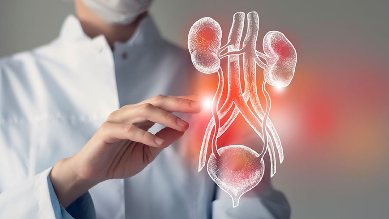 viêm đường tiết niệu