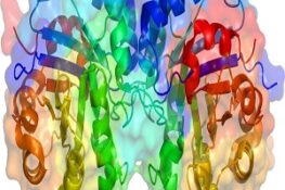 Enzyme là gì? Tìm hiểu cách enzyme hoạt động trong cơ thể