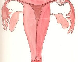 Thai Ngoài Tử Cung: Làm Sao Phát Hiện và Thử Que Có 2 Vạch?