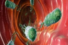 Tìm Hiểu Về Vi Khuẩn HP: Những Điều Cần Biết Về Lây Nhiễm