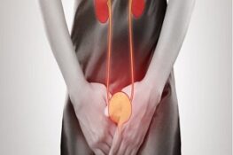 Viêm Đường Tiết Niệu: Sự Thật Ít Ai Biết & Cách Phòng Ngừa Hiệu Quả