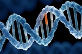 Mã Di Truyền Là Gì? Khái Niệm, Đặc Tính Và Vai Trò Trong Di Truyền Học