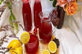 Uống Nước Lá Tía Tô Mỗi Ngày: Tác Dụng, Cách Dùng và Lưu Ý
