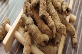 Ba Kích Trong Đông Y: Công Dụng Và Cách Dùng