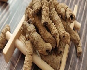 Ba Kích Trong Đông Y: Công Dụng Và Cách Dùng