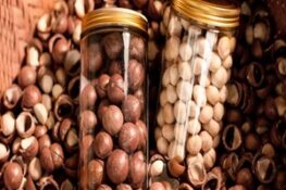 Tại Sao Hạt Macca Được Mệnh Danh Là “Nữ Hoàng Các Loại Hạt”?