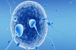 IVF là gì và tại sao nó lại là giải pháp tuyệt vời cho các cặp đôi vô sinh?