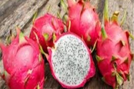 5 Lợi Ích Sức Khỏe Tuyệt Vời Từ Quả Thanh Long Mà Bạn Nên Biết