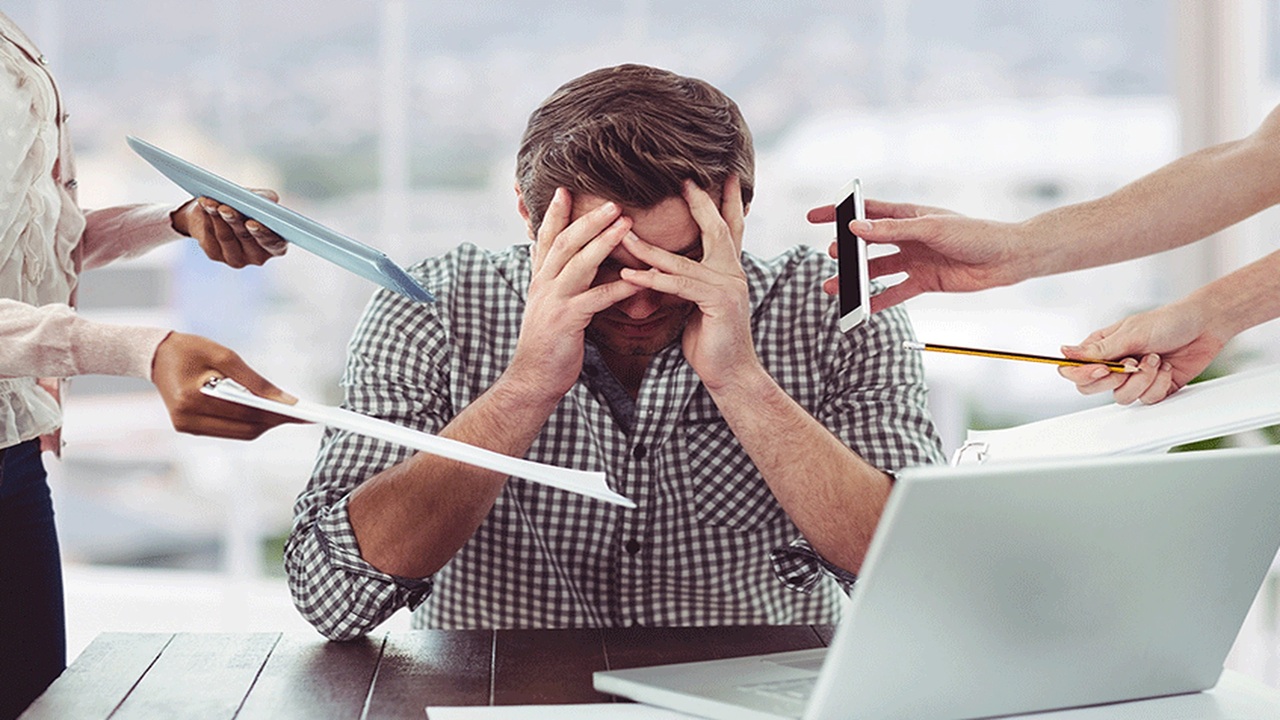 stress là gì