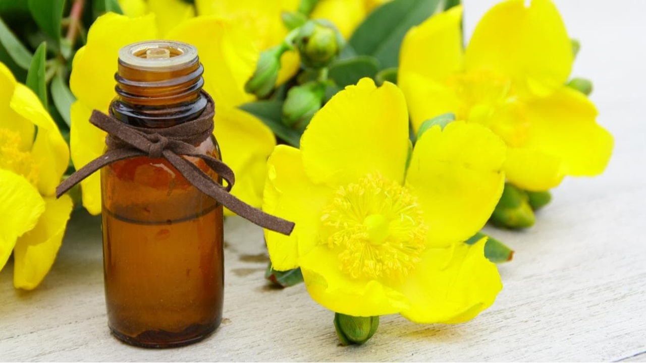 tác dụng của tinh dầu hoa anh thảo