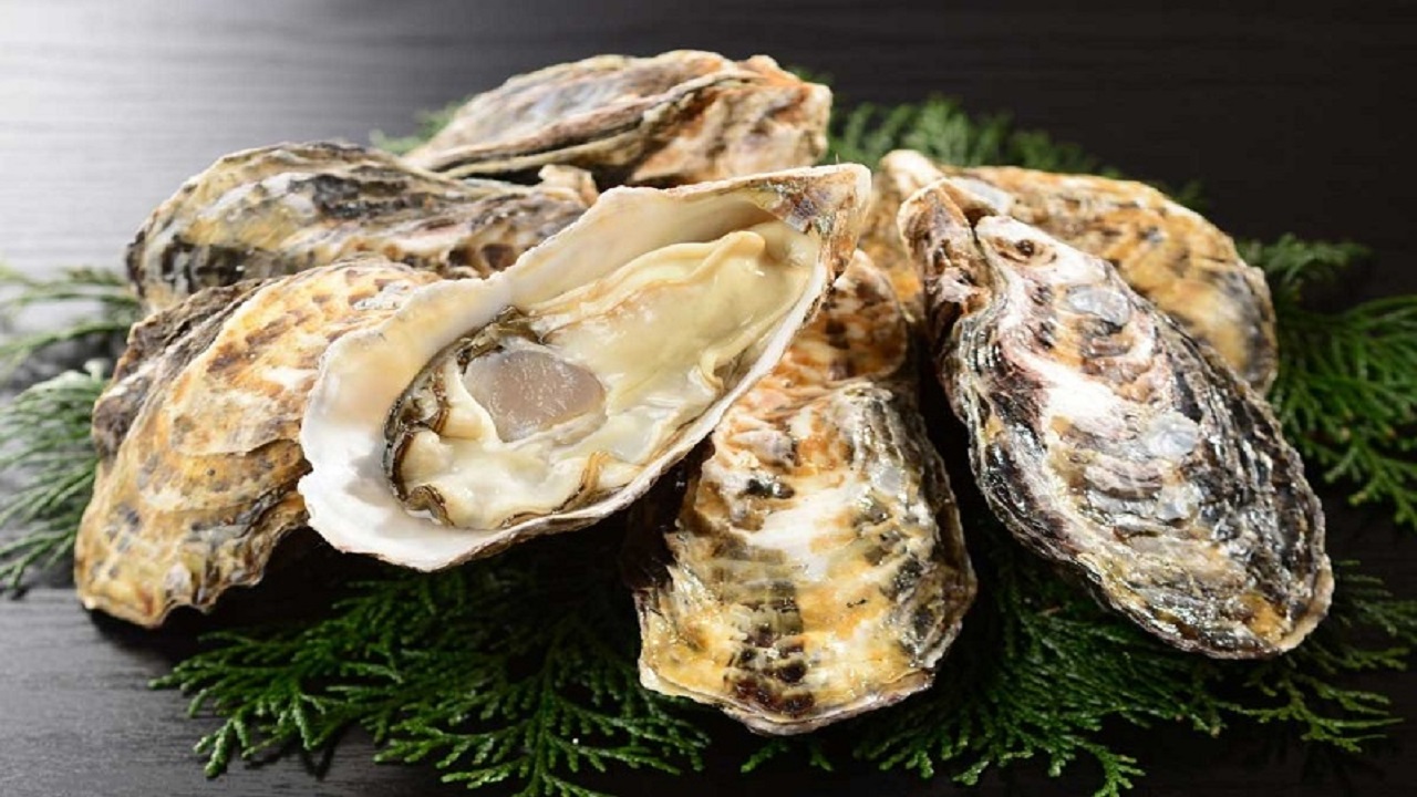 bầu ăn hành được không