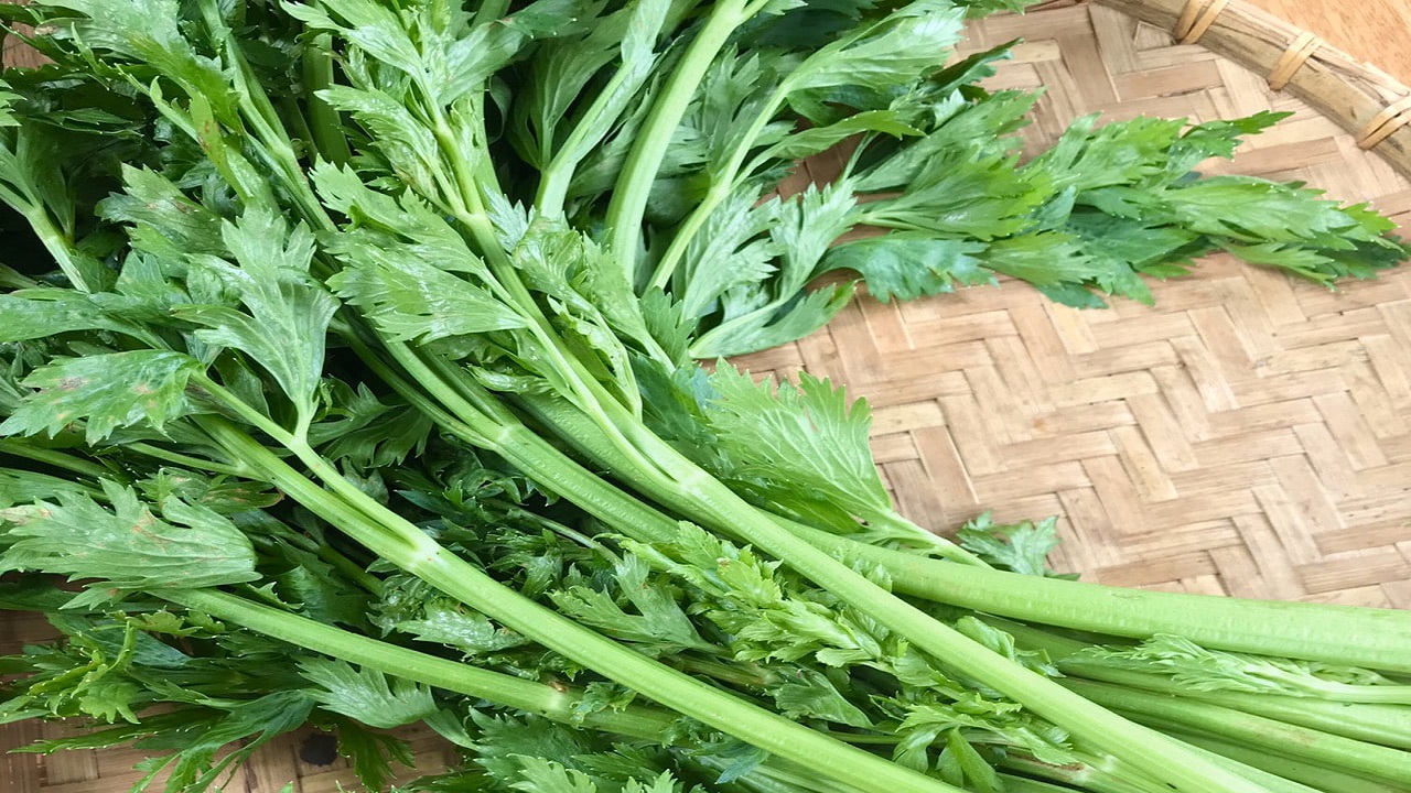 các loại lá uống hạ huyết áp