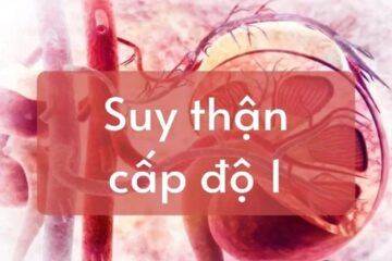 Dấu hiệu suy thận giai đoạn đầu: Những triệu chứng bạn không nên bỏ qua
