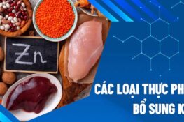 Top 12 thực phẩm giàu kẽm giúp tăng cường sức khỏe và miễn dịch